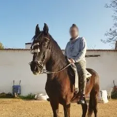 Franziska, 31